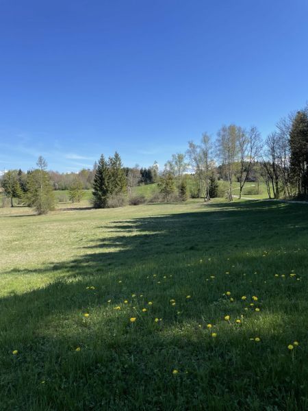 Impressionen von der Wanderung wp-content/uploads/2022/04/IMG_4226-scaled.jpeg