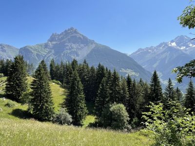 Hoch über dem Reusstal