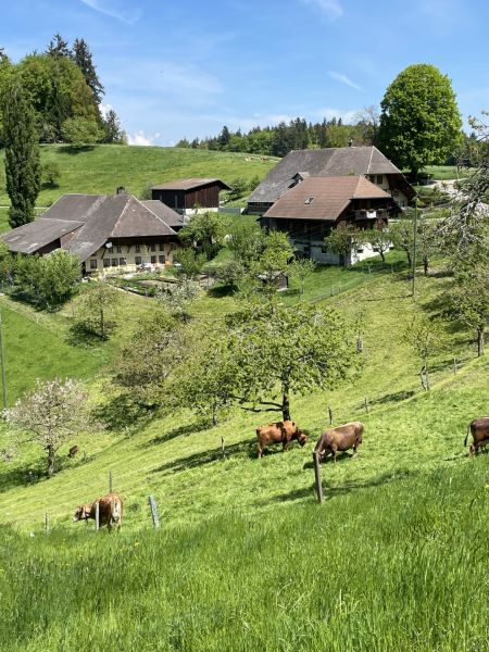 Impressionen von der Wanderung wp-content/uploads/2022/05/IMG_4526-scaled.jpeg