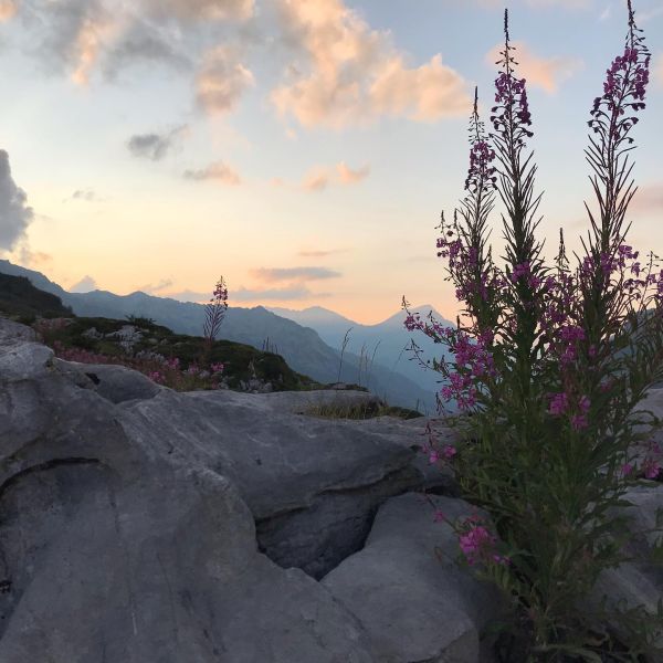 Impressionen von der Wanderung wp-content/uploads/2022/01/69570003_10217479549815054_8052040111983951872_n.jpg