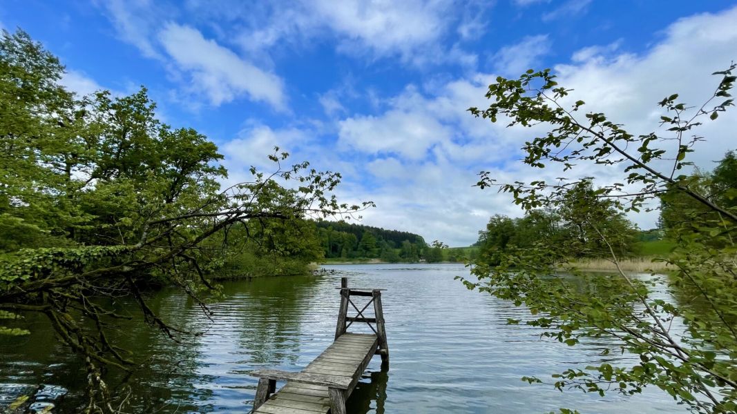 Impressionen von der Wanderung wp-content/uploads/2024/05/IMG_0721.jpeg