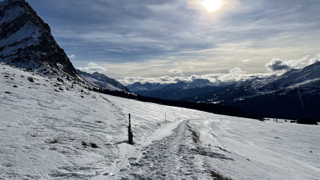 Impressionen von der Wanderung wp-content/uploads/2023/01/IMG_8328.jpeg