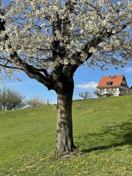 Impressionen von der Wanderung wp-content/uploads/2022/04/IMG_4093-scaled.jpeg