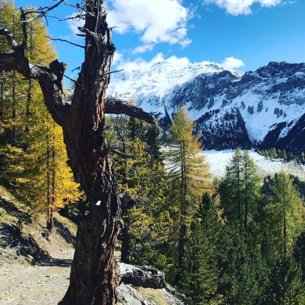 Bild von der Wandertour Höhenweg vom Ofenpass nach Müstair. Und die Sonne als stete Begleiterin