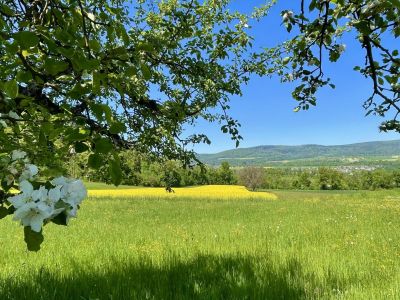 Das Laufental: mehr Grün geht nicht