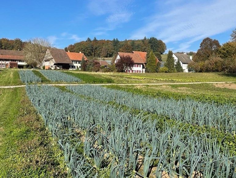 Impressionen von der Wanderung wp-content/uploads/2022/01/250682428_10223915254423647_6189107155950372790_n.jpg