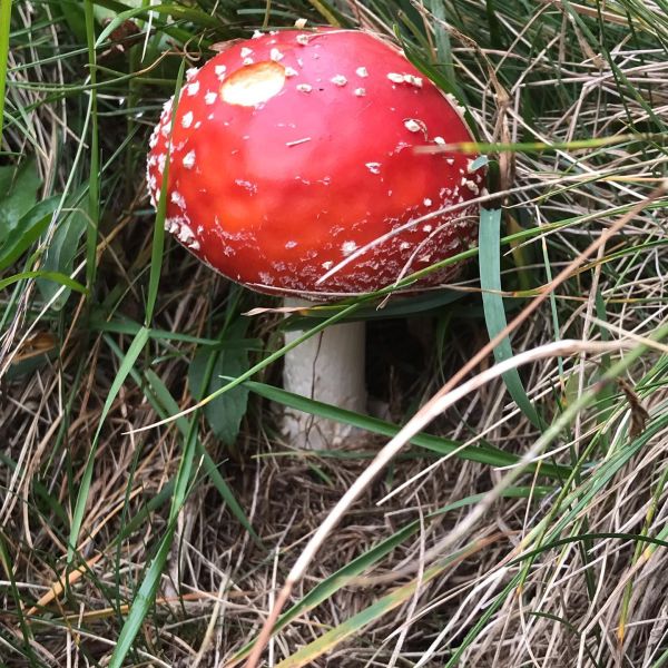 Impressionen von der Wanderung wp-content/uploads/2022/01/241054867_10223580151366280_1954218700261689162_n.jpg