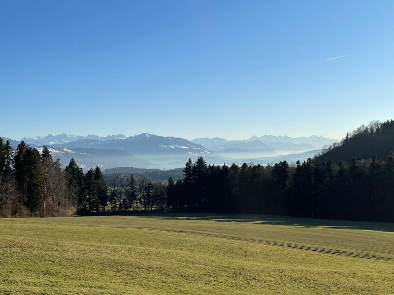 Fernsicht und Urwald vor den Toren Zürichs