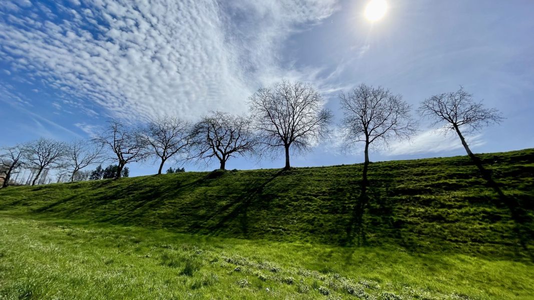 Impressionen von der Wanderung wp-content/uploads/2024/04/IMG_9920.jpeg