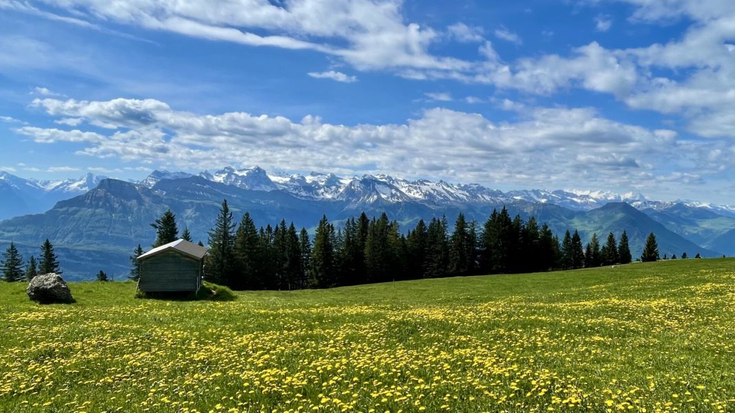 Impressionen von der Wanderung wp-content/uploads/2025/05/IMG_4879.jpeg