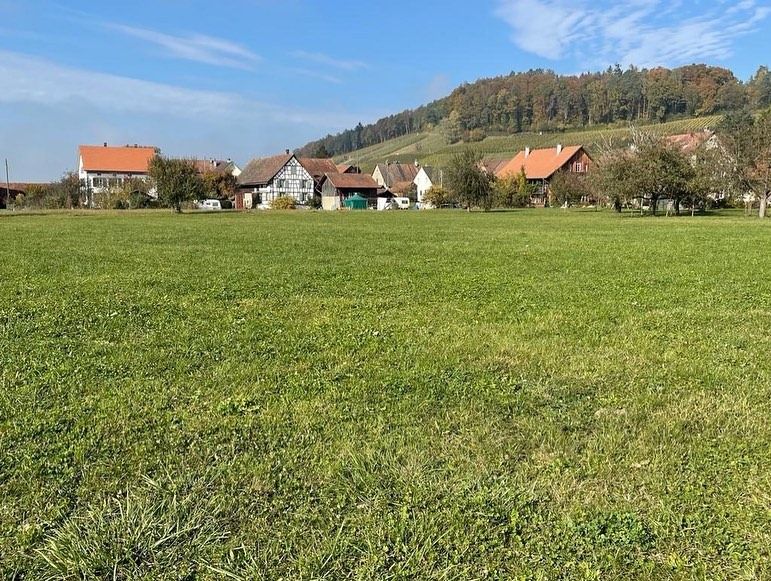 Impressionen von der Wanderung wp-content/uploads/2022/01/251915236_10223915254503649_7451989627409746329_n.jpg