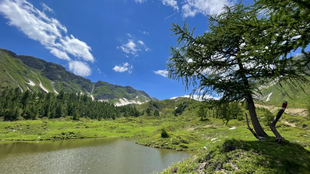 Impressionen von der Wanderung wp-content/uploads/2024/07/IMG_2018.jpeg