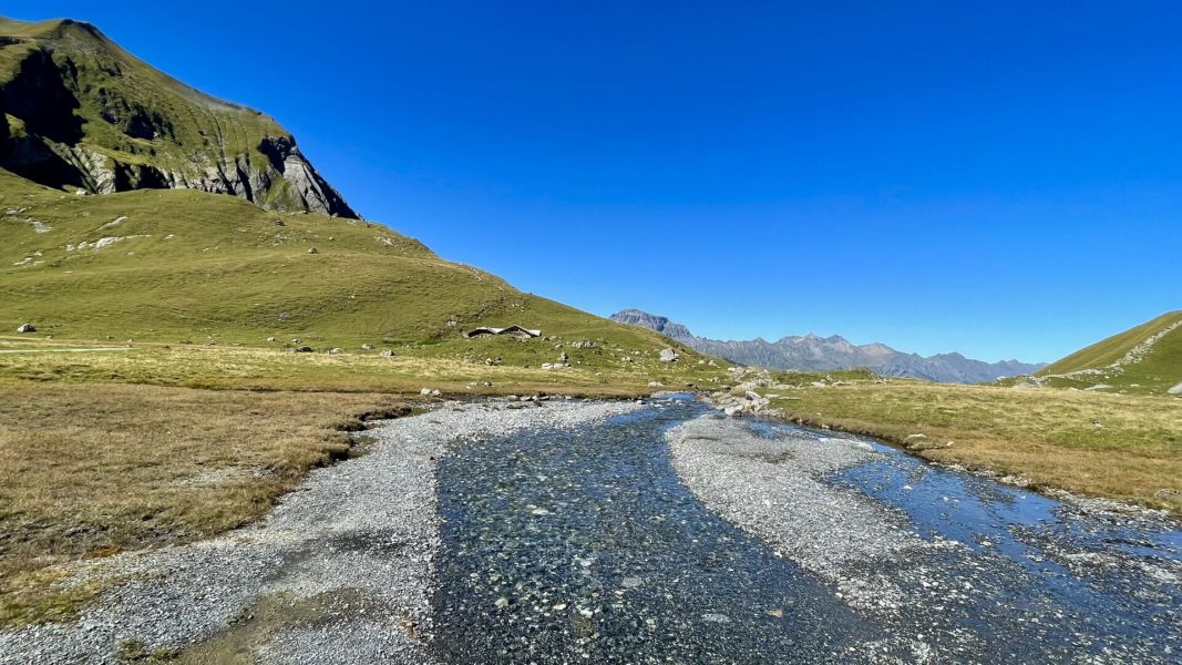 Impressionen von der Wanderung wp-content/uploads/2025/09/IMG_6756.jpeg