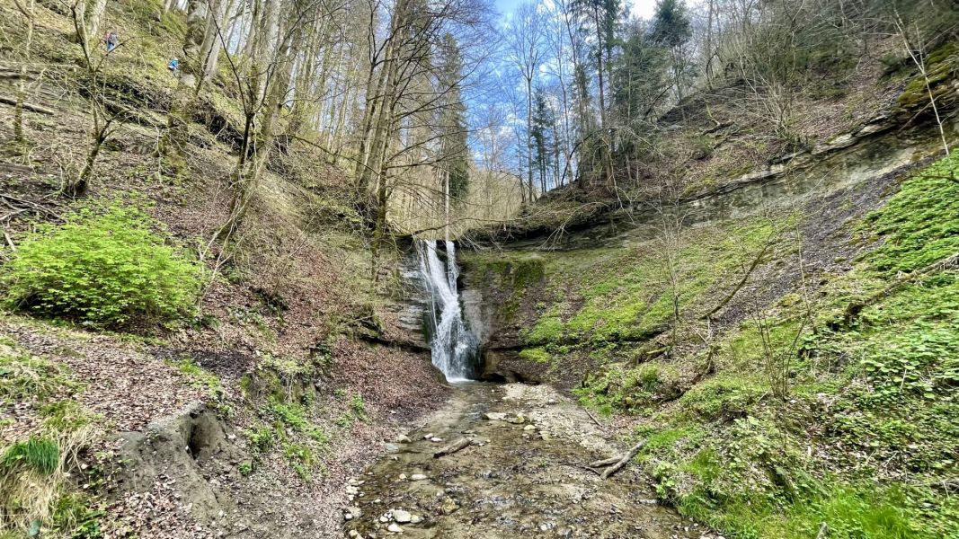 Impressionen von der Wanderung wp-content/uploads/2024/04/IMG_9984.jpeg