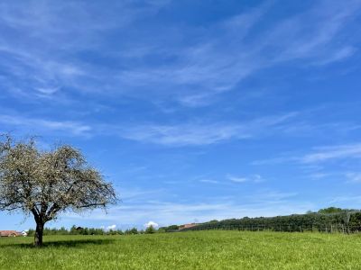 Mostindien vom Feinsten – Teil 2