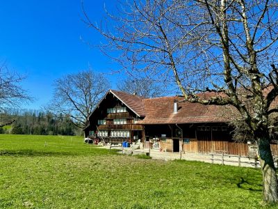 Wilde Schluchten am Fusse des Appenzellerlands