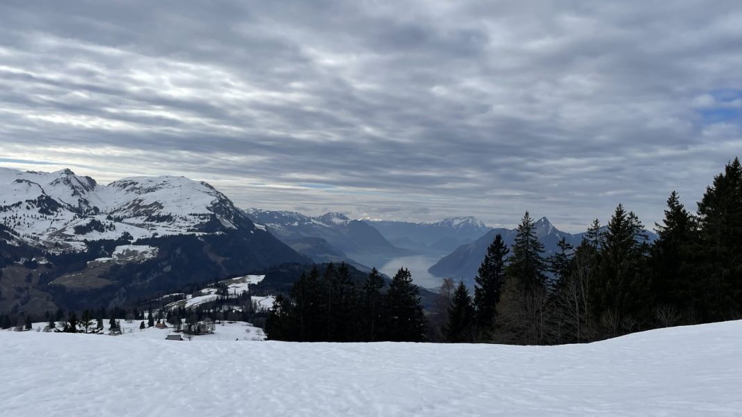Impressionen von der Wanderung wp-content/uploads/2024/02/IMG_8353.jpeg
