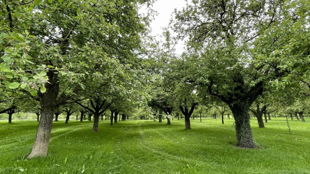 Impressionen von der Wanderung wp-content/uploads/2024/05/IMG_0788.jpeg