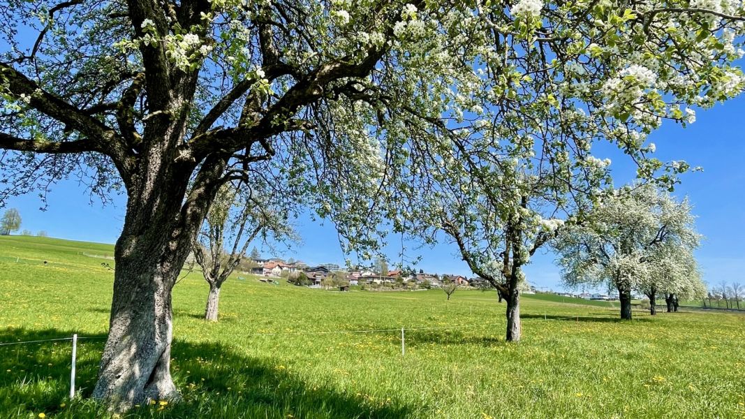 Impressionen von der Wanderung wp-content/uploads/2026/04/IMG_7938.jpeg