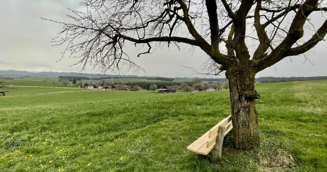 Impressionen von der Wanderung wp-content/uploads/2024/03/IMG_9828-2-1-e1711892610847.jpeg