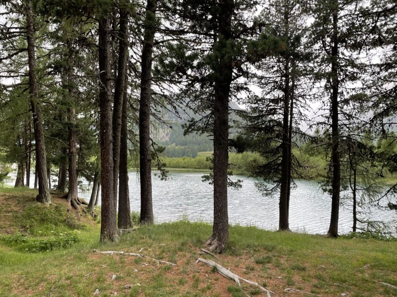 Impressionen von der Wanderung wp-content/uploads/2022/07/IMG_5616.jpeg