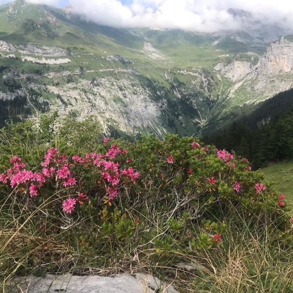 Impressionen von der Wanderung wp-content/uploads/2022/01/67940922_10217294894838795_3928397699916759040_n.jpg