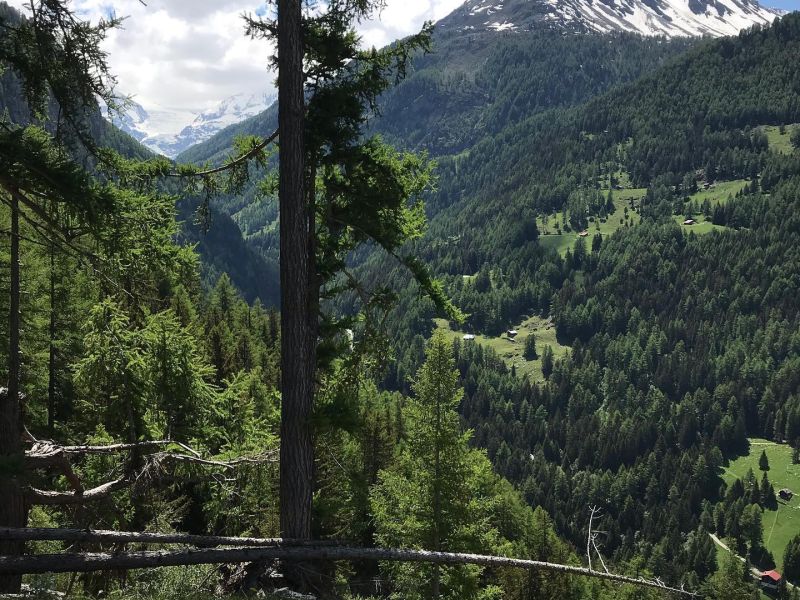 Das Turtmanntal: ein versteckter Schatz
