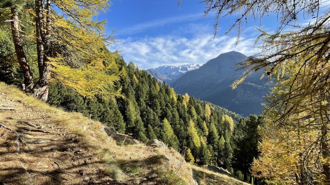 Impressionen von der Wanderung wp-content/uploads/2023/10/IMG_6818.jpeg