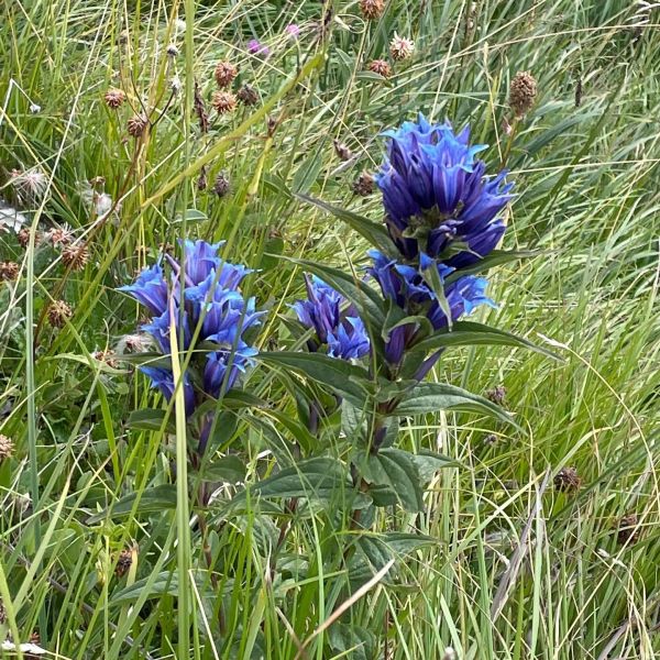 Impressionen von der Wanderung wp-content/uploads/2022/01/241091354_10223580151126274_6589191226197256019_n.jpg