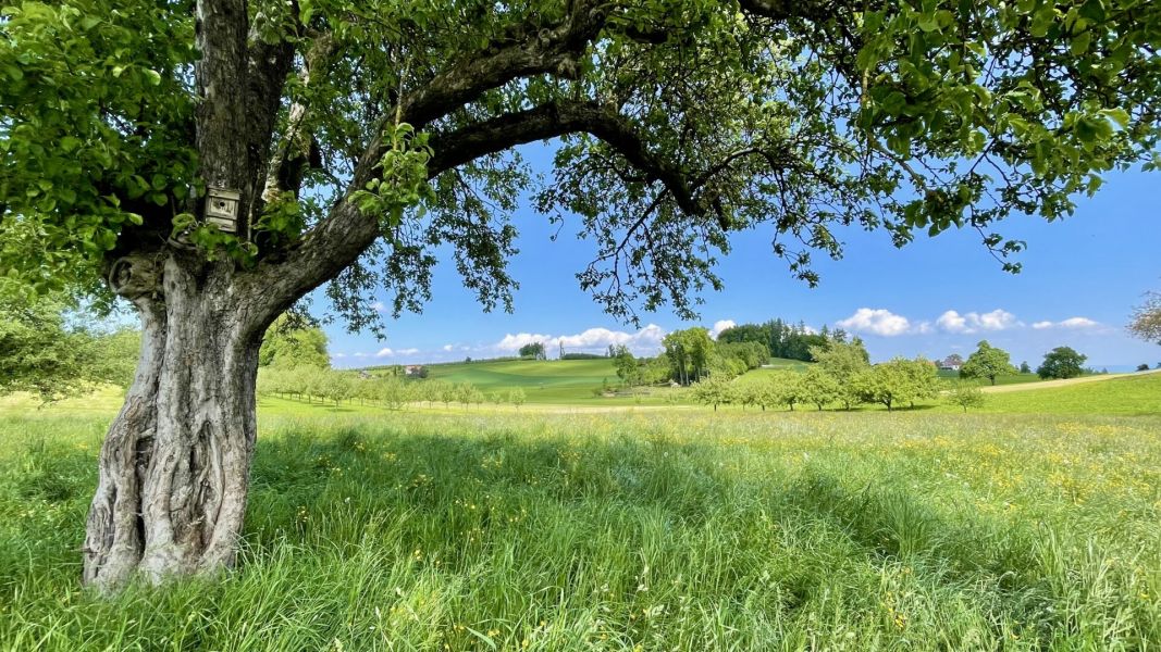 Impressionen von der Wanderung wp-content/uploads/2025/05/IMG_4795.jpeg