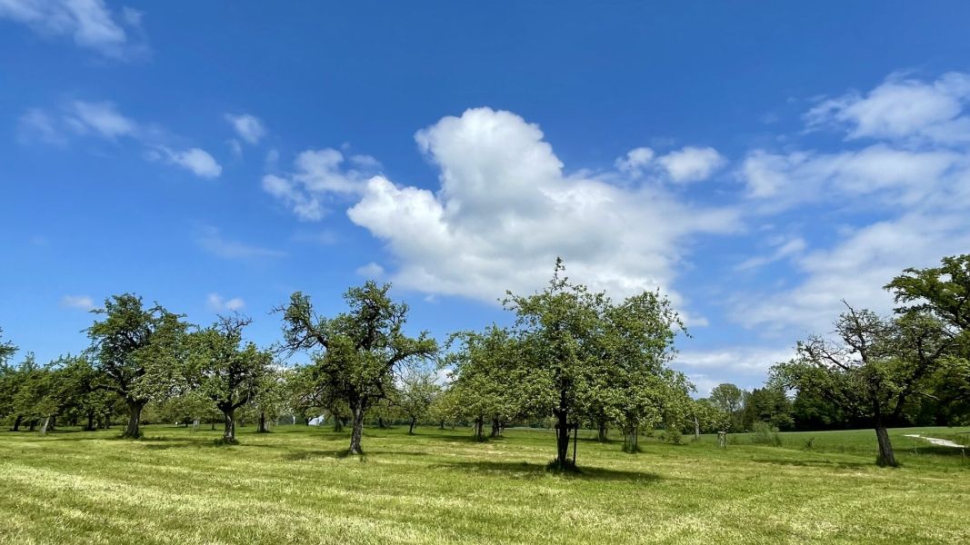 Impressionen von der Wanderung wp-content/uploads/2024/05/IMG_0765.jpeg