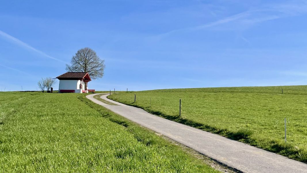 Impressionen von der Wanderung wp-content/uploads/2026/04/IMG_7899.jpeg