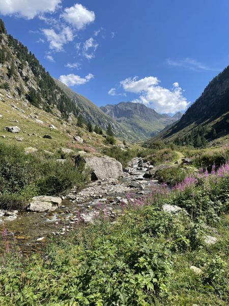 Impressionen von der Wanderung wp-content/uploads/2022/08/IMG_6324.jpeg