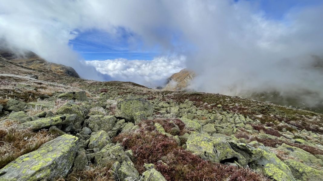 Impressionen von der Wanderung wp-content/uploads/2023/10/IMG_6562.jpeg