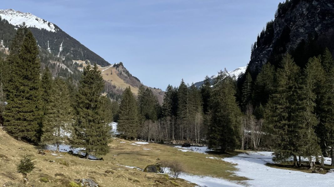 Impressionen von der Wanderung wp-content/uploads/2024/02/IMG_8731.jpeg