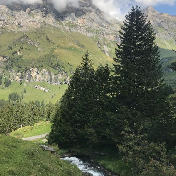 Impressionen von der Wanderung wp-content/uploads/2022/01/69216658_10217479547534997_637588225803681792_n.jpg