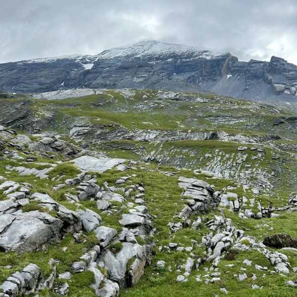 Impressionen von der Wanderung wp-content/uploads/2025/08/IMG_4003.jpeg