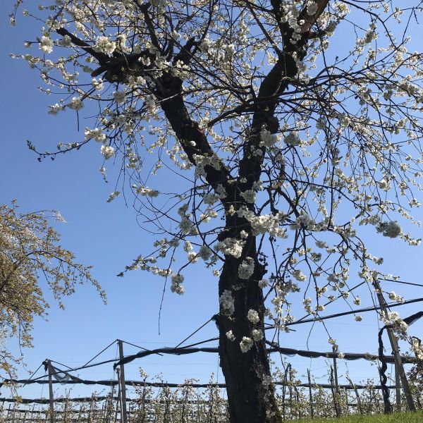 Impressionen von der Wanderung wp-content/uploads/2022/01/178352902_10222763065459643_8810174775968312192_n.jpg