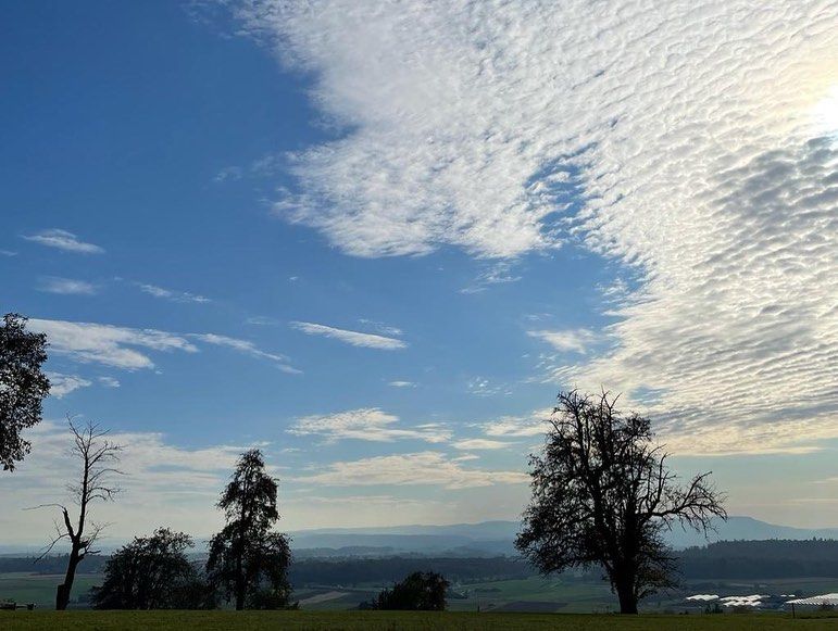 Impressionen von der Wanderung wp-content/uploads/2022/01/251761933_10223915254343645_3421552759505873765_n.jpg