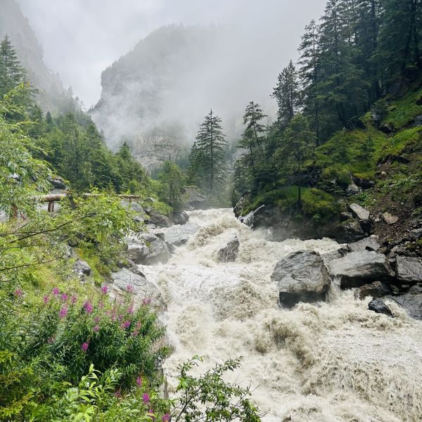 Impressionen von der Wanderung wp-content/uploads/2025/07/IMG_3983.jpeg