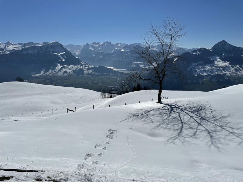 Impressionen von der Wanderung wp-content/uploads/2022/04/16451073-EE9E-4153-A955-7E09CDD76BE4-scaled.jpeg