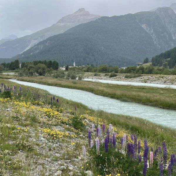 Impressionen von der Wanderung wp-content/uploads/2022/07/IMG_7013.jpeg