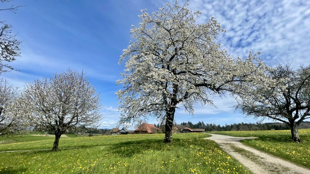 Impressionen von der Wanderung wp-content/uploads/2024/04/IMG_9960.jpeg