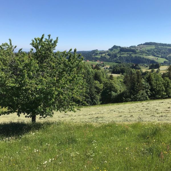 Bild von der Wandertour Liebliches Freiburgerland