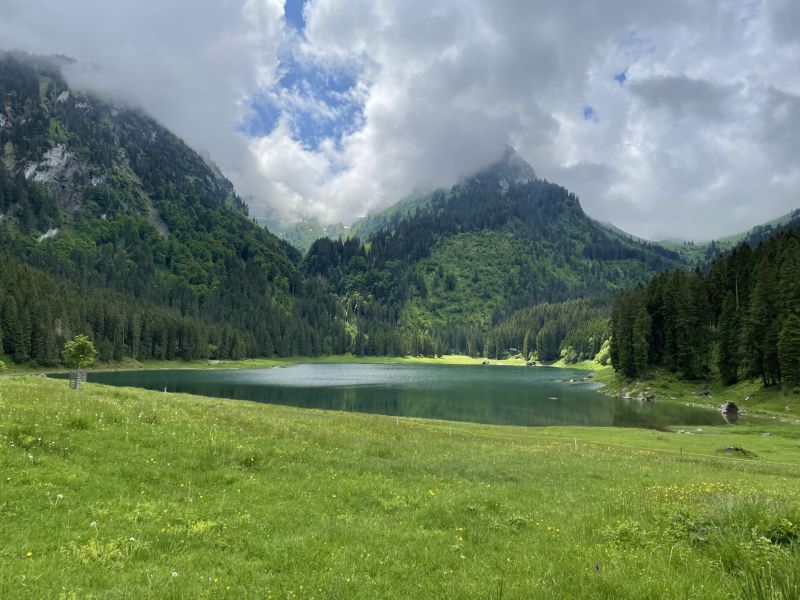 Hinter den Sieben Bergen