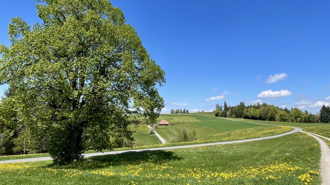 Impressionen von der Wanderung wp-content/uploads/2026/04/IMG_8024.jpeg