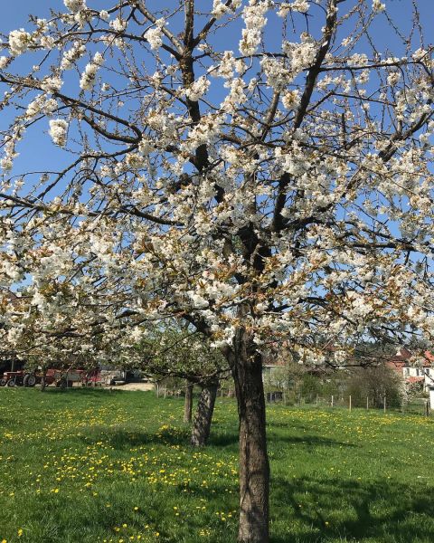 Impressionen von der Wanderung wp-content/uploads/2022/01/57491835_10216537784351506_6598211734035496960_n.jpg
