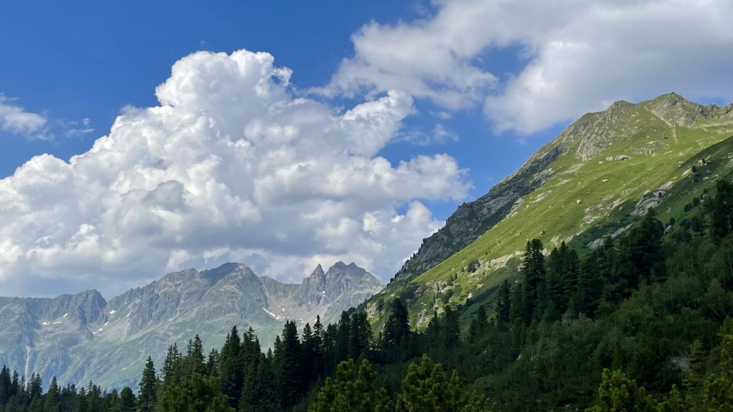 Impressionen von der Wanderung wp-content/uploads/2024/07/IMG_2406.jpeg