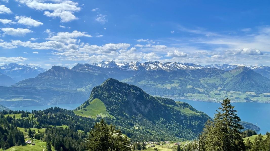 Impressionen von der Wanderung wp-content/uploads/2025/05/IMG_4892.jpeg