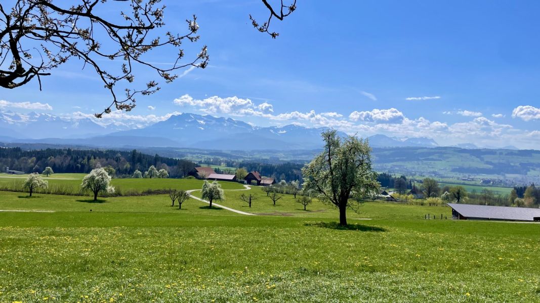 Bild von der Wandertour Fantastische Fernsichten vom Hinterland ins Vorderland